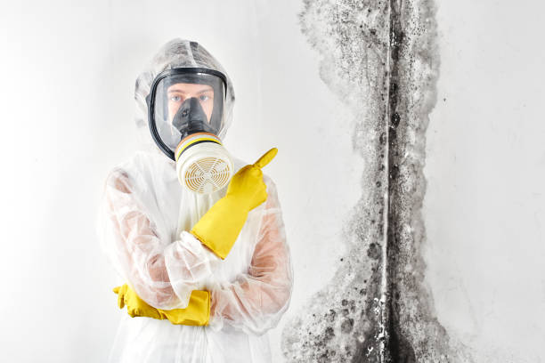 Trusted Forest Grove, OR Mold Removal Experts